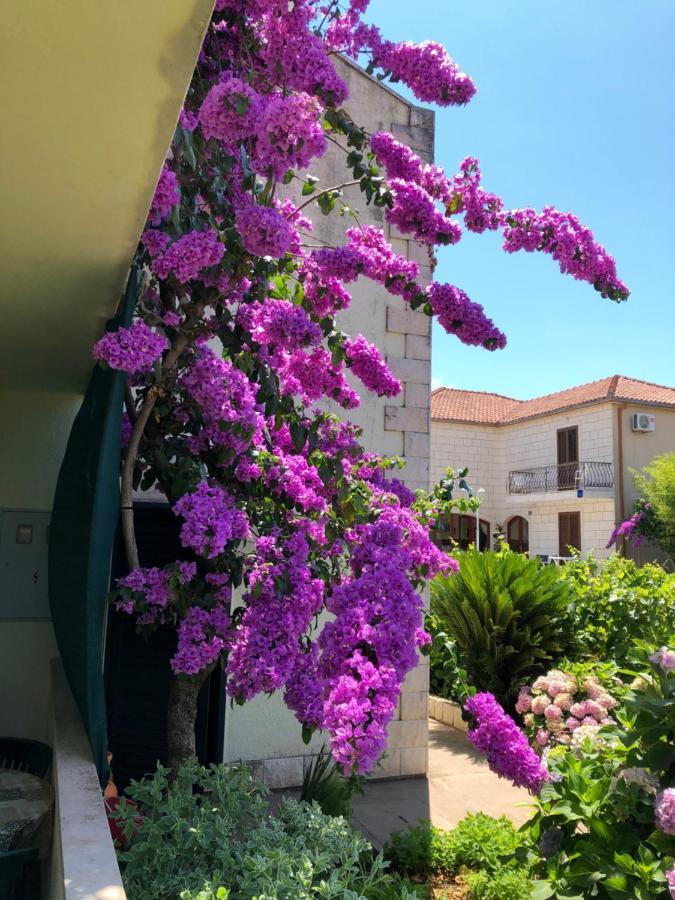 סרסר Villa Marijana מראה חיצוני תמונה